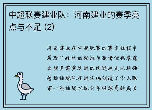 中超联赛建业队：河南建业的赛季亮点与不足 (2)