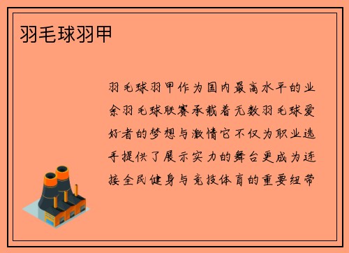 羽毛球羽甲